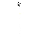 LEKI レキ スキーポール NEOLITE CARBON ネオライト カーボン