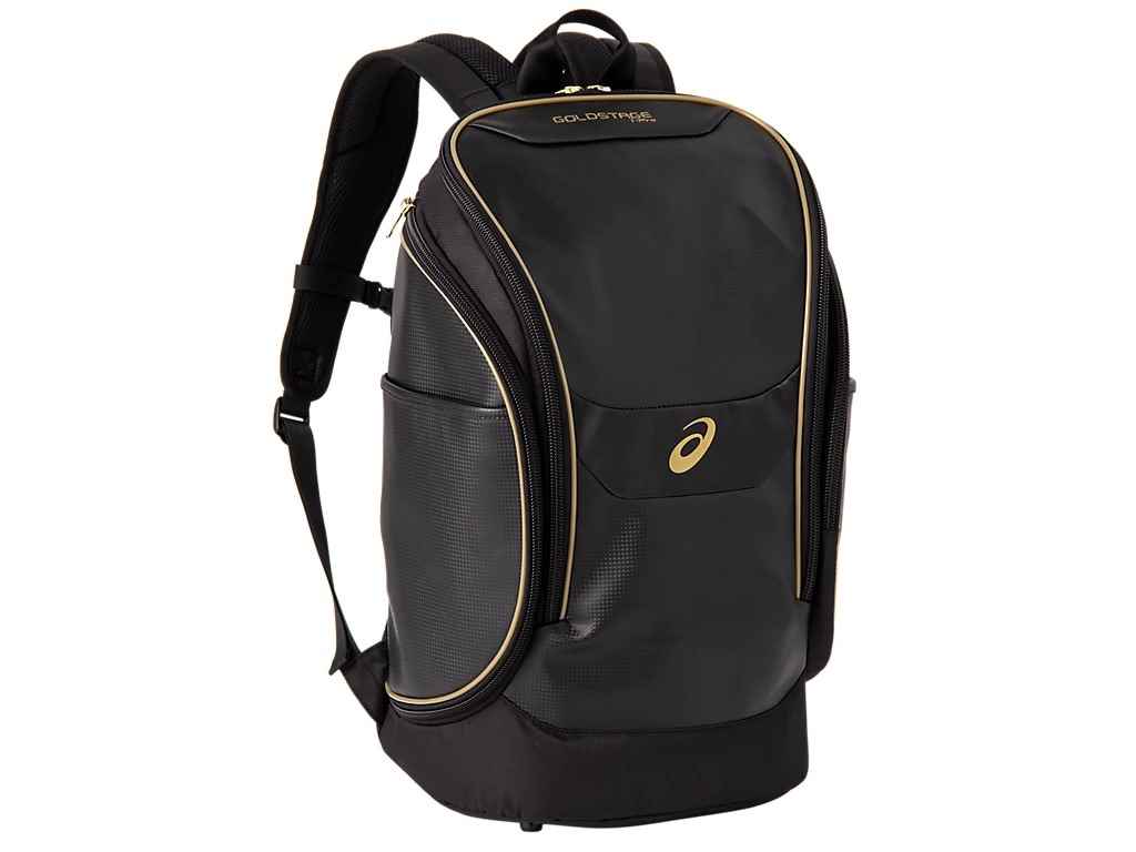 å asics 3123A525 EQ-- ꡼() GOLDSTAGE I-PRO Хåѥå ֥å