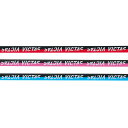 ヴィクタス VICTAS 801100 卓球 メンテナンス用品 サイドテープツートン レッド