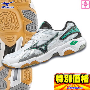 ミズノ MIZUNO バレーボールシューズ レディース用 ウエーブワルキューレ V1GC1552 3色展開