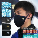 デサント マスク アスレチックマスク カスカワオリジナルカラー DESCENTE ATHLETIC MASK DX-C0970