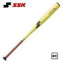 SSK 硬式金属バット プロエッジスカイフライトNSR 限定色 2024年新基準対応 EBB1103-3090