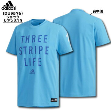 2019年モデル アディダス Adidas 野球ウェア 5T TYPO T 3ST FTI97 2色展開