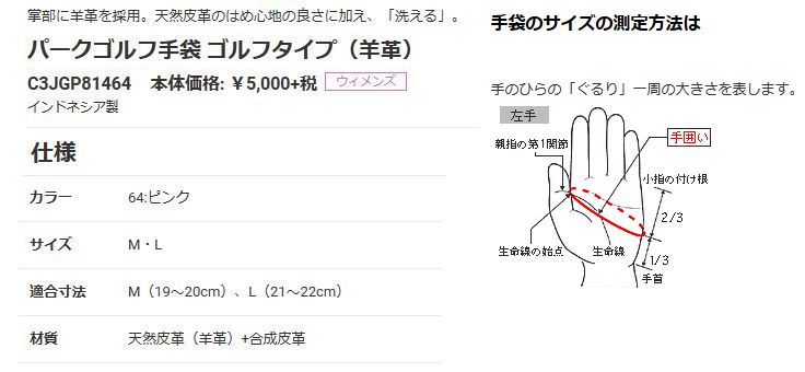 MIZUNO ミズノ パークゴルフ手袋 ゴルフタイプ(羊革) レディース用 手袋 C3JGP81464 2