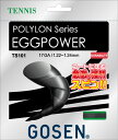 GOSEN(ゴーセン) エッグパワー17ブラック