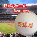 野球心/野球心ボールneo(ネオ)/1ダース/プロ野球球団も使用/野球上達/バッティング/野球練習グッズ/ボール/耐久性UP/高校野球/甲子園/少年野球/ベースボール/