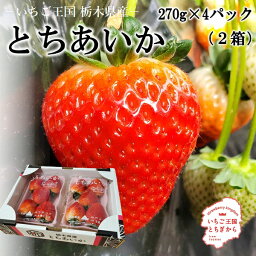 いちご 大粒 とちあいか 送料無料 栃木県産2箱 約270g（4〜9個）×4パック期間限定 産地直送大粒 高級 プレゼント フルーツ 贈り物 ホワイトデー ギフト ひなまつり 卒業 入学 摘みたて日時指定は出来ません。