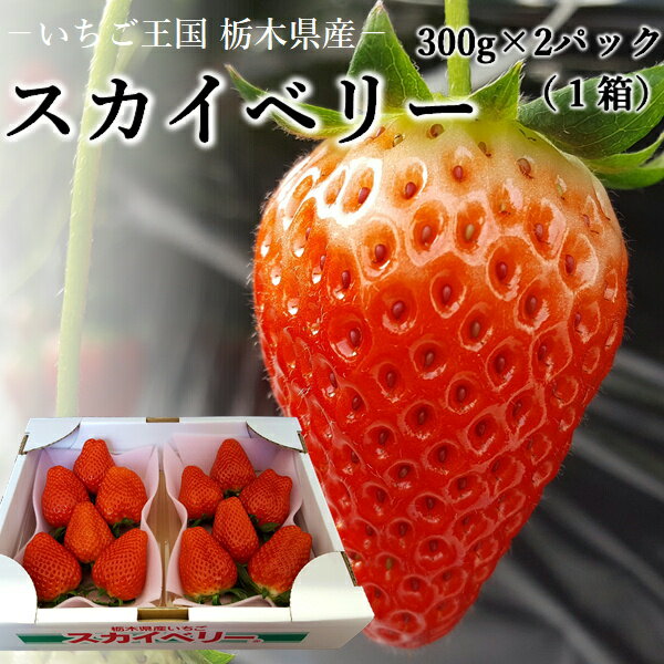 いちご 大粒 スカイベリー 送料無料 栃木県産1箱 約300g（6〜9個）×2パック期間限定 産地直送大粒 高級 プレゼント フルーツ 贈り物 ホワイトデー ギフト ひなまつり 卒業 入学 摘みたて日時指定は出来ません。