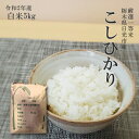 米 5kg 送料無料 コシヒカリ 令和2年産 栃木県 日光市産 精米 白米 こしひかり 14時までのご注文で当日出荷ご注文後に精米 2019年特A受賞品種