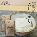 米 20kg (10kg×2袋) 送料無料コシヒカリ 令和2年産 栃木県 日光市産 精米 白米あす楽対応 14時までのご注文で当日出荷北海道・九州沖縄一部離島は別途送料500円掛かります。2019年特A受賞品種