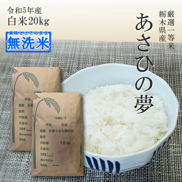 米 20kg 無洗米 送料無料 あさひの夢 