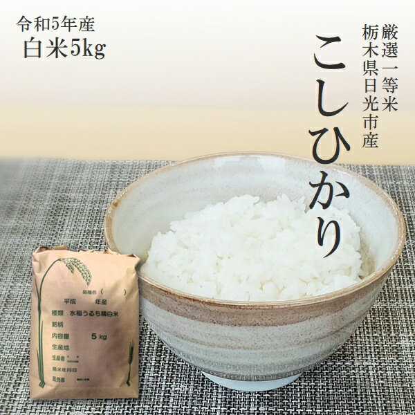 米 5kg 送料無料 コシヒカリ 令和5年産 栃木県産 精米