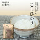 米 5kg 送料無料 コシヒカリ 令和5年産 栃木県産 精米 白米 こしひかり 受注精米 平日14時までのご注文で当日店舗出荷食味ランキング特A