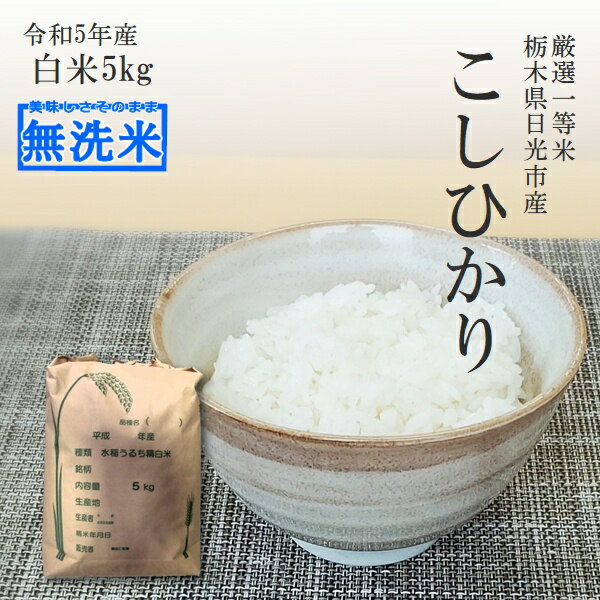 米 5kg 無洗米 送料無料 コシヒカリ 令和5年産 栃木県