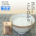 米 5kg 無洗米 送料無料 コシヒカリ 令和5年産 栃木県産 精米 白米 こしひかり 受注精米 平日14時までのご注文で当日店舗出荷食味ランキング特A