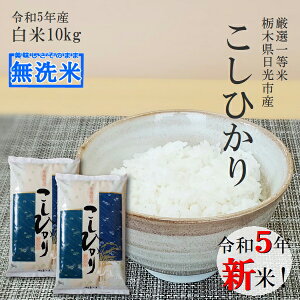 新米 10kg (5kg×2袋) 無洗米 送料無料コシヒカリ 令和4年産 栃木県産 精米 白米あす楽対応 平日14時までのご注文で当日出荷北海道・九州沖縄一部離島は別途送料500円掛かります。お米 10キロ食味ランキング特A