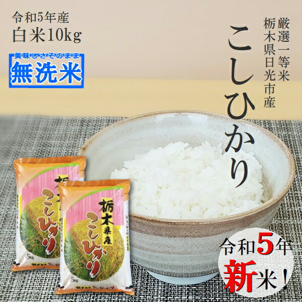 新米 10kg (5kg×2袋) 無洗米 送料無料コシヒカリ 令和5年産 栃木県産 精米 白米あす楽対応 平日14時までのご注文で当日出荷北海道・九州沖縄一部離島は別途送料500円掛かります。お米 10キロ食味ランキング特Aのサムネイル