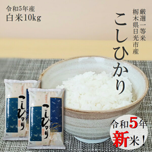 新米 10kg 送料無料コシヒカリ 令和4年産 5kg×2袋 栃木県産 精米 白米あす楽対応 平日14時までのご注文で当日出荷北海道・九州沖縄一部離島は別途送料500円掛かります。お米 10キロ食味ランキング特A