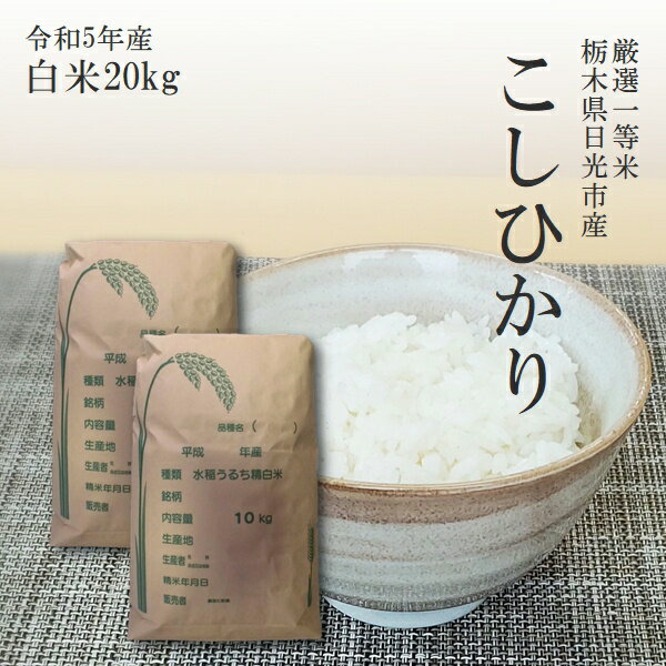 米 20kg 送料無料コシヒカリ 10kg×2袋 令和5年産