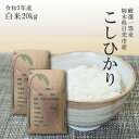 米 20kg 送料無料コシヒカリ 10kg×2袋 令和5年産 栃木県産 精米 白米あす楽対応 平日14時までのご注文は当日出荷北海道・九州沖縄一部..