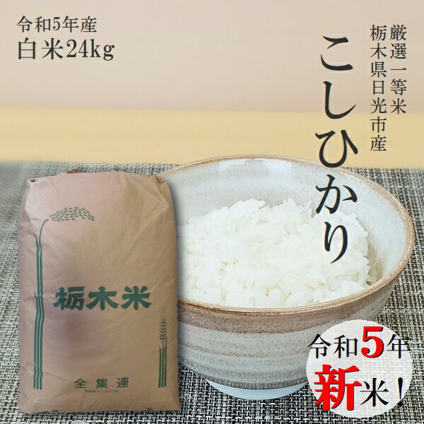 新米 24kg 送料無料コシヒカリ 令和4年産 栃木県産 精米 白米あす楽対応 平日14時までのご注文は当日出荷北海道・九州沖縄一部離島は別途送料500円掛かります。お米食味ランキング特Aのサムネイル