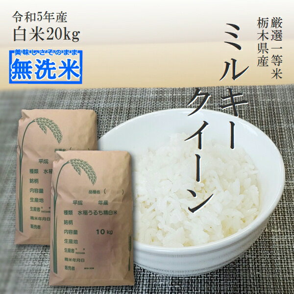 米 20kg (10kg×2袋) 無洗米 送料無料ミ