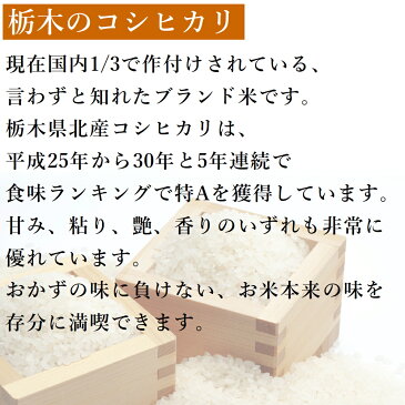 新米 10kg (5kg×2袋) 無洗米 送料無料コシヒカリ 令和3年産 栃木県産 精米 白米あす楽対応 平日14時までのご注文で当日出荷北海道・九州沖縄一部離島は別途送料500円掛かります。お米 10キロ