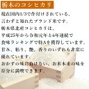 米 20kg (10kg×2) 無洗米 送料無料コシヒカリ 令和5年産 栃木県産 精米 白米あす楽対応 受注精米 平日14時までのご注文は当日出荷北海道・九州沖縄一部離島は別途送料500円掛かります。食味ランキング特A 2