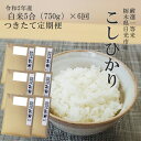新米 令和2年産 つきたて定期便栃木県日光市産コシヒカリ精米...