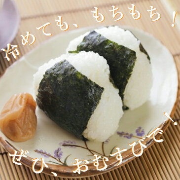 新米 10kg (5kg×2袋) 無洗米 送料無料コシヒカリ 令和3年産 栃木県産 精米 白米あす楽対応 平日14時までのご注文で当日出荷北海道・九州沖縄一部離島は別途送料500円掛かります。お米 10キロ
