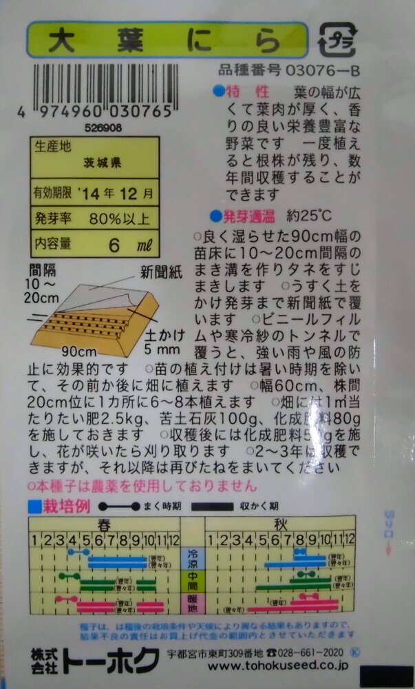 ニラ種大葉にら広幅にらの代表種