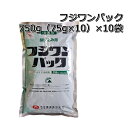 フジワンパック 750g（75g×10）×10袋殺菌剤 投げ込み用いもち病 稲こうじ病