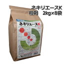 ネキリエース（粒）2kg×8袋殺虫剤ネキリムシ退治メール便対応は出来ません。P19Jul15 その1