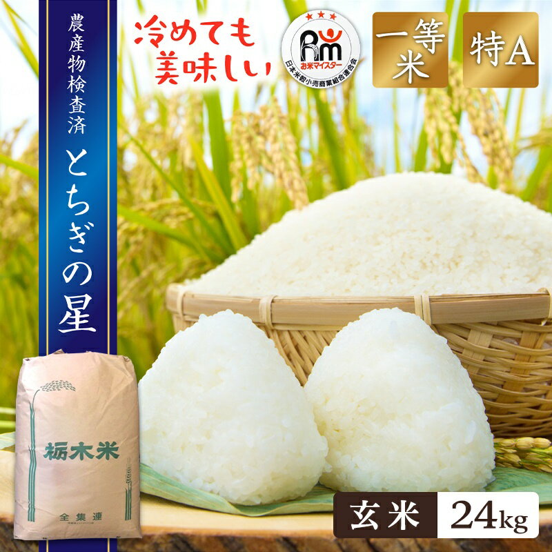新米 米 24kg 玄米 送料無料とちぎの星 玄米 令和6年産 栃木県あす楽対応北海道・九州沖縄一部離島は別途送料500円掛かります。 お米 20キロ 大嘗祭のサムネイル
