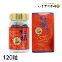 楽天やまさか薬局　楽天市場店ヤマサカオイスター　120粒 広島産生かき100％ 国産 若々しくいたい お酒を飲む機会が多い ハリ、コシが欲しい方 タウリン 亜鉛 グリコーゲン ミネラル補給 美容 エネルギー 健康維持