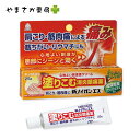 新ノイガンエス 25g【第3類医薬品】【10P03Dec16】
