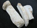 乾燥松茸 6切サイズ縦裂き 増量30g【まつたけ/マツタケ/土瓶蒸し】6M
