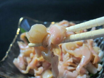 刺身用赤貝のヒモ ☆冷凍ではありませんよ! 【同梱は常温か冷蔵扱いに限ります】【あかがい/貝ひも】