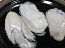 広島県産　冷凍かき　1kg（L〜M）