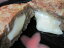 大好評!! とろけるチーズのハンバーグ【チーズ/ソースインハンバーグ】