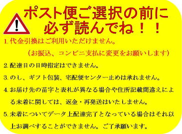 五色あられ　200g　【ぶぶあられ/ふりかけ/キャラ弁】【ポスト便可　1配送2個まで　配送方法ご選択でメール便をお選びください】