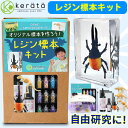 (ケラッタ) レジン 標本 キット 工作 手作り 昆虫 恐竜 骨格 小学生 男の子 女の子 科学 実験 自由研究 低学年 3年生 2年生 1年生 クリスマス プ...