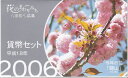 【平成18年】花のまわりみち 八重桜イン広島 貨幣セット 2006年（平成18年）ミントセット 【関山】