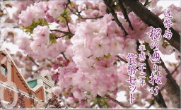 【平成22年】 桜の通り抜け 平成22年（2010年） 貨幣セット