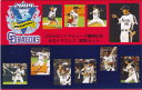 【平成16年】 2004セントラルリーグ優勝記念 中日ドラゴンズ 貨幣セット 【プロ野球】