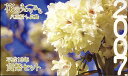 【平成19年】花のまわりみち 八重桜イン広島 貨幣セット 2007年（平成19年）ミントセット 【銀製メダル入り】