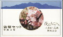 【平成3年】花のまわりみち 八重桜イン広島 貨幣セット 1991年(平成3年)【松月】