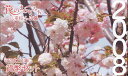 【平成20年】花のまわりみち 八重桜イン広島 貨幣セット 2008年（平成20年）ミントセット 【銀製メダル入り】