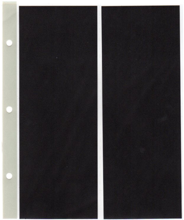 【追加リーフ】 フェニックス SS-120 タテ2列リーフ補充項V2 15枚入り【切手シートファイル】