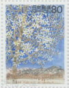 【記念切手】 わたしの愛唱歌シリーズ 第3集 80円切手「北国の春」 平成10年（1998年）発行